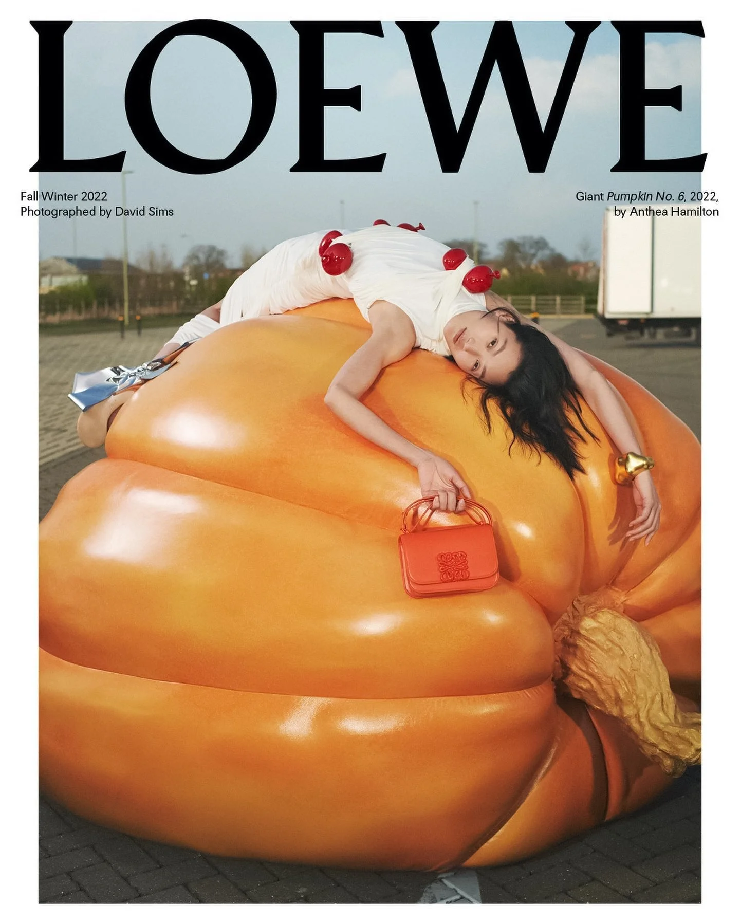 LOEWE　ポスター David Sims Eyes LOEWE FW 2022 Campaign Anthea Hamilton Pumpkins